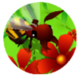 蜜蜂进化3D免广告 V1.0 安卓版