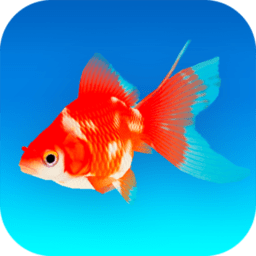 金鱼模拟器 V1.0 安卓版