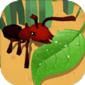 蚂蚁进化3d 1.0 安卓版