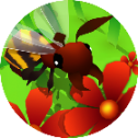 蜜蜂进化3D V1.0.0 安卓版